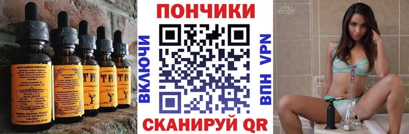 Купить где  Сарапул  Canna-Cookies конопля 