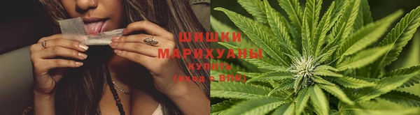 таблы Няндома