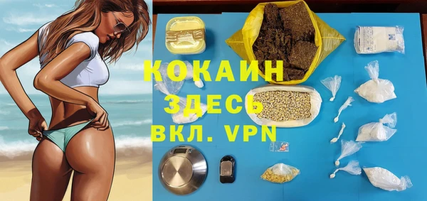таблы Няндома