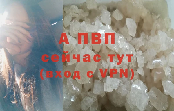 СК Нягань